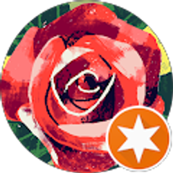 Profile photo of Rosalind Ig