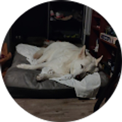 Profile photo of Saharea Ovnite