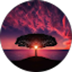 Profile photo of Casey Hill