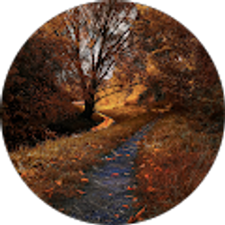 Profile photo of Jake Bandy