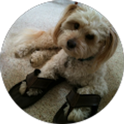 Profile photo of Rick Rowe