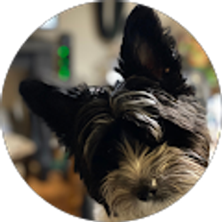 Profile photo of Richard Beedle