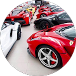 Profile photo of Barbara Olson