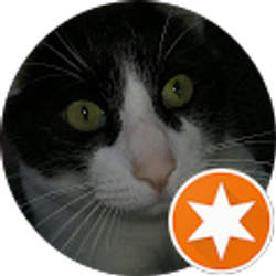 Profile photo of Donald King Jr