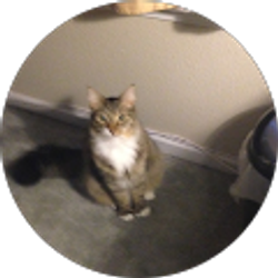 Profile photo of Judy Pawlus