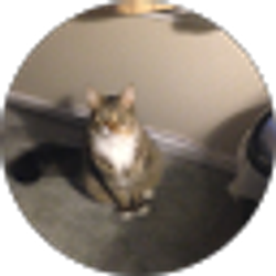Profile photo of Judy Pawlus