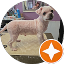 Profile photo of Belinda Johnson