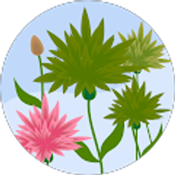 Profile photo of Kate Henderson