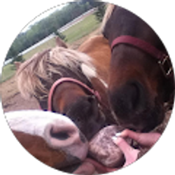 Profile photo of Kaytie Pederson