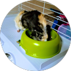 Profile photo of stephanie hallahan