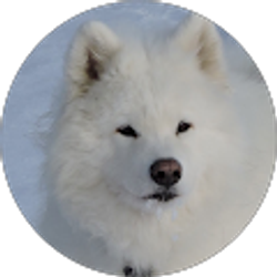 Profile photo of Crystal B