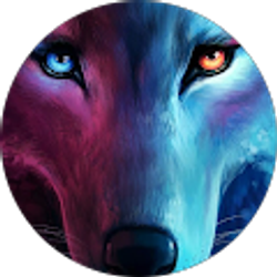 Profile photo of dlaja lee