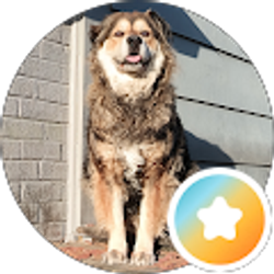 Profile photo of Dogzilla Squad