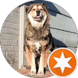 Profile photo of Dogzilla Squad