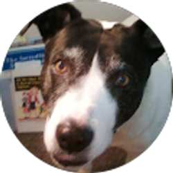 Profile photo of Kathy Read