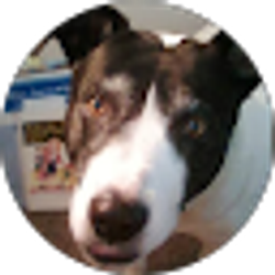 Profile photo of Kathy Read