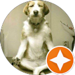 Profile photo of Genny Dreyer