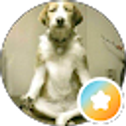 Profile photo of Genny Dreyer