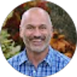 Profile photo of Brad Phillips