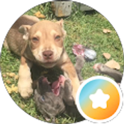 Profile photo of Jill Erickson