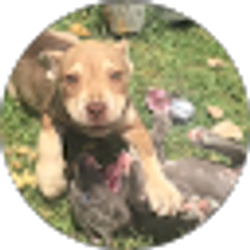Profile photo of Jill Erickson