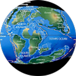 Profile photo of Mark Chandler