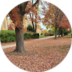 Profile photo of Alejandra Romero