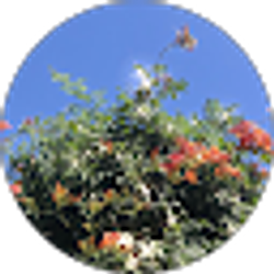 Profile photo of Carolyn Maria