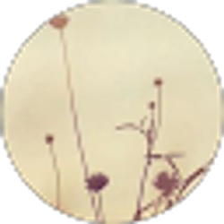 Profile photo of Ashley Heiny