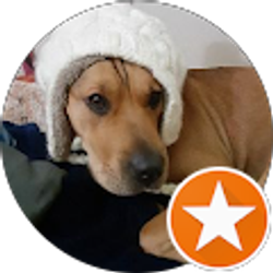 Profile photo of Gail