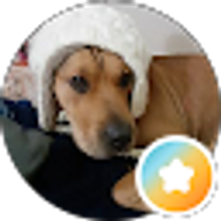 Profile photo of Gail