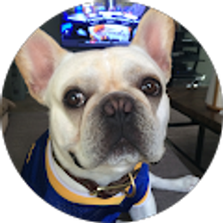 Profile photo of Terry Chan