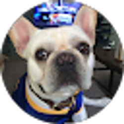 Profile photo of Terry Chan