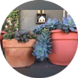 Profile photo of Alma Magdaleno