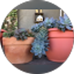 Profile photo of Alma Magdaleno