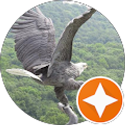 Profile photo of Ahmad Jibawi