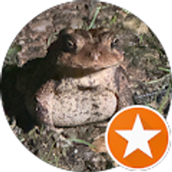 Profile photo of Karyn Fogel