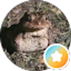 Profile photo of Karyn Fogel