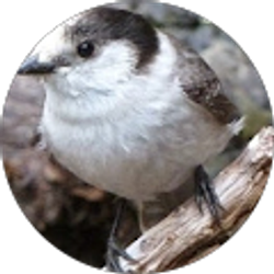 Profile photo of Nancy Hardwick