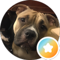 Profile photo of D W