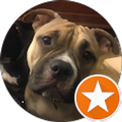 Profile photo of D W