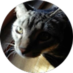 Profile photo of Sandy Carter