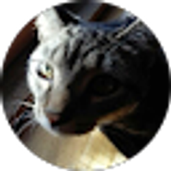 Profile photo of Sandy Carter