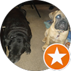 Profile photo of Thomas