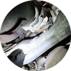 Profile photo of Nolasco Lopez