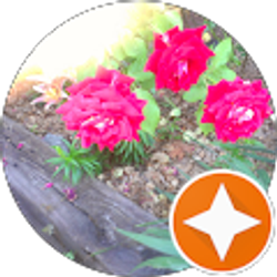 Profile photo of Tamiko Massie