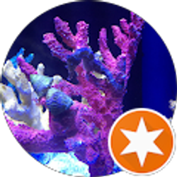 Profile photo of Enjoy Life