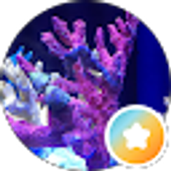 Profile photo of Enjoy Life