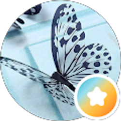 Profile photo of Butterfly Beautiful