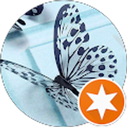 Profile photo of Butterfly Beautiful